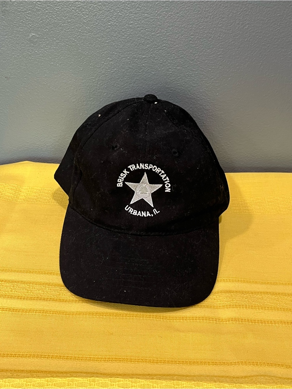 Vtg Brisk Transportation Urbana IL - Trucking Dad Hat Cap
